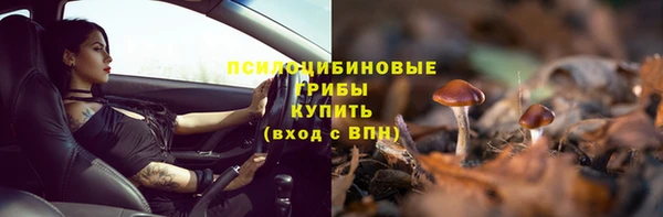 не бодяженный Аркадак