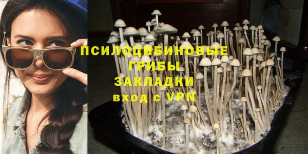 не бодяженный Аркадак
